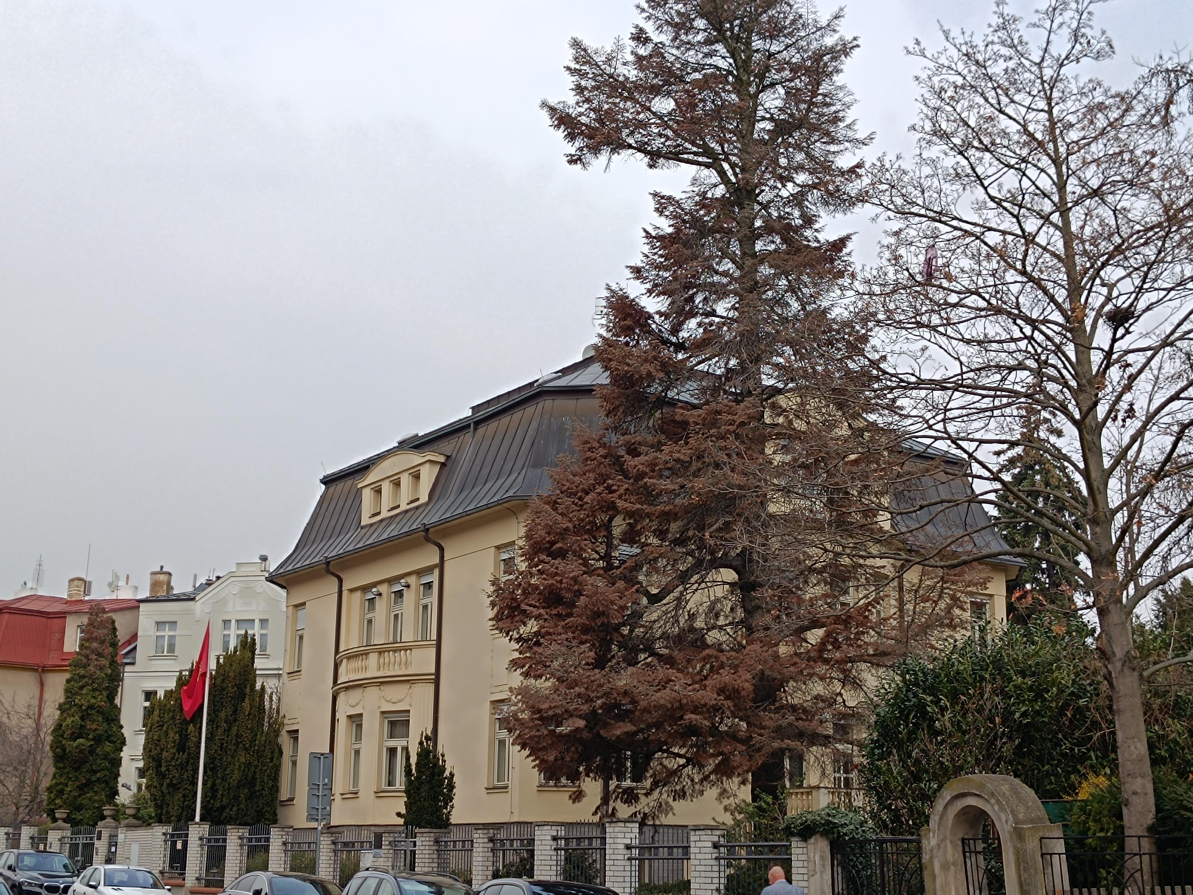 Maroko - Velvyslanectví Marockého království foto 6