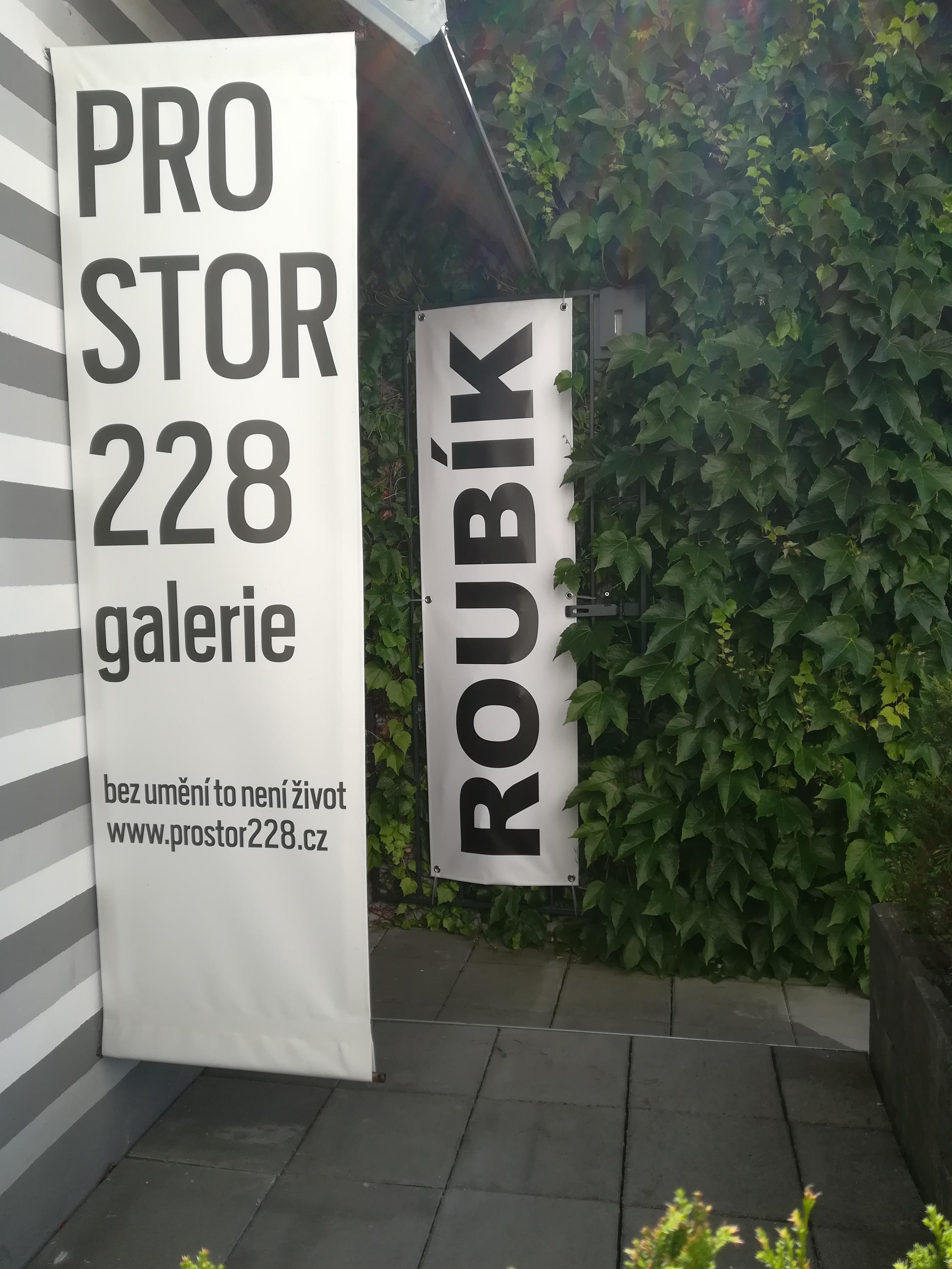 Galerie Prostor 228 foto 2