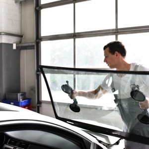 Sellers of auto glass and window films