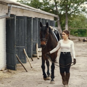 Jízdárny a koňské ranče