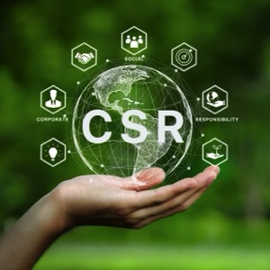 Services in the area of quality management systems - ISO