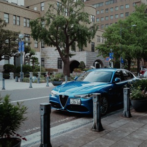 Sellers of automotive spare parts - Fiat, Alfa Romeo