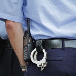 Policejní instituce