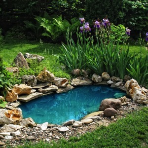 Design and installation of garden ponds