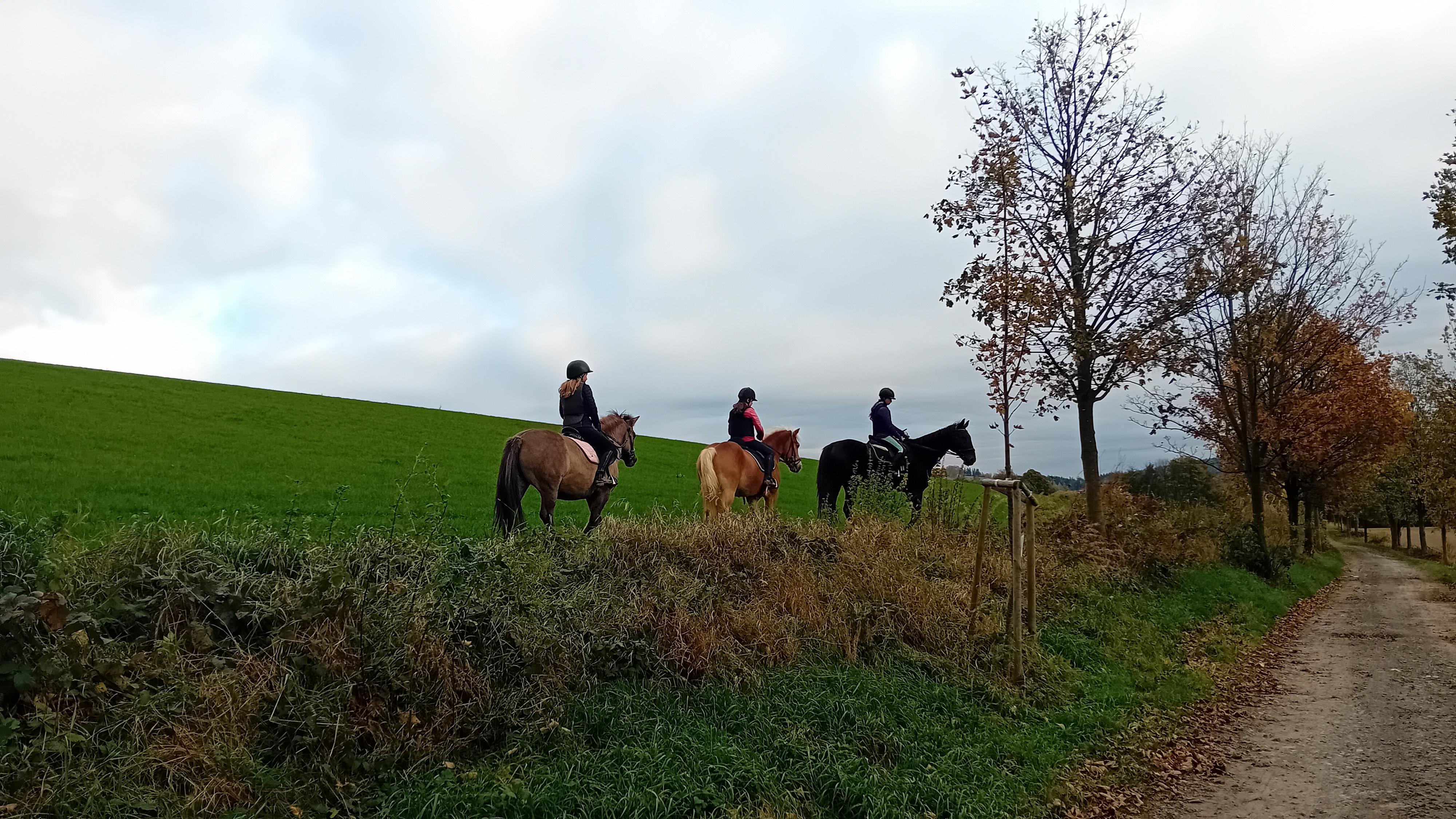 JEZDECKÝ KLUB LIPKA foto 3