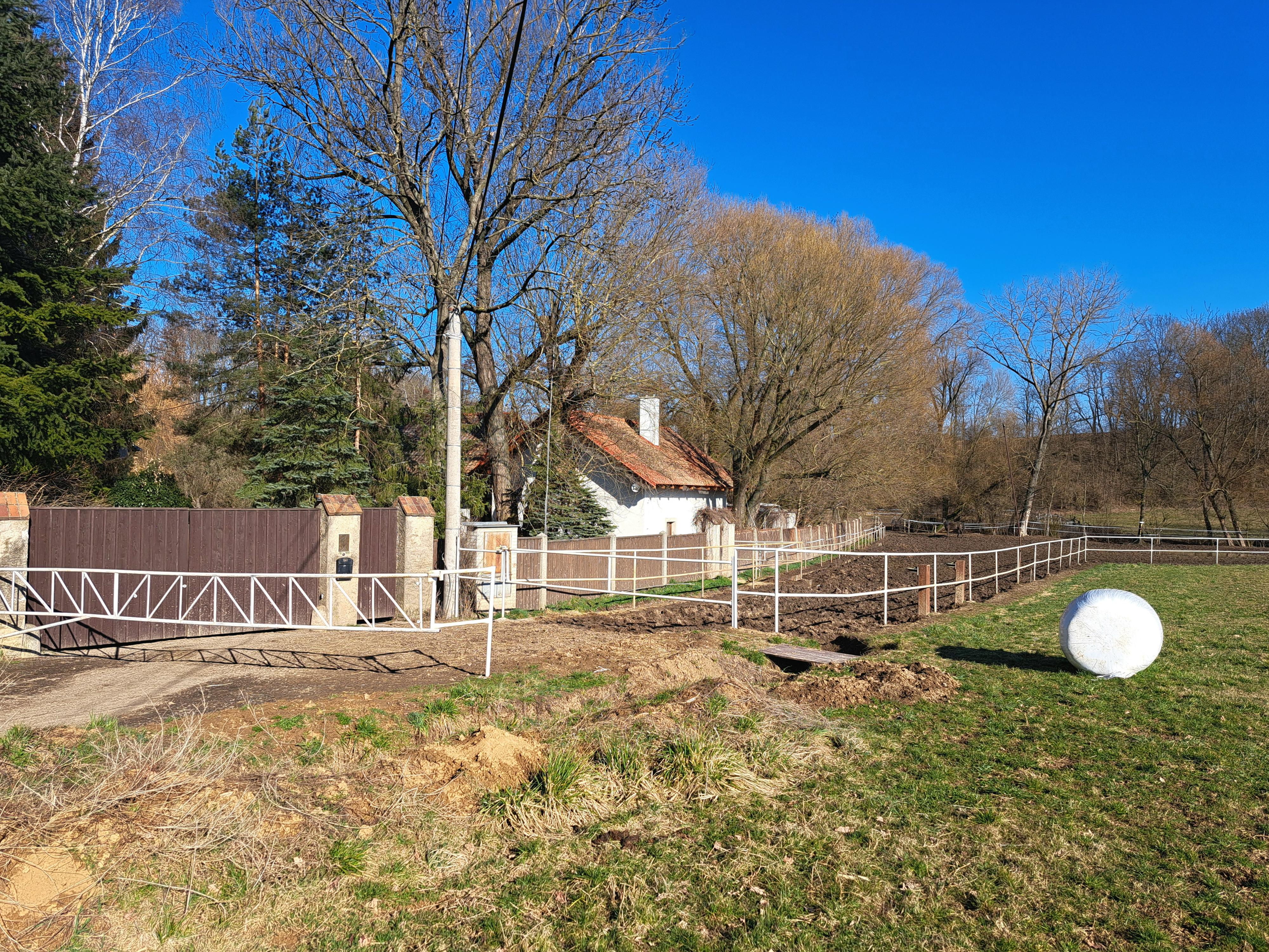 Ludvík Hess - Chov koní foto 4