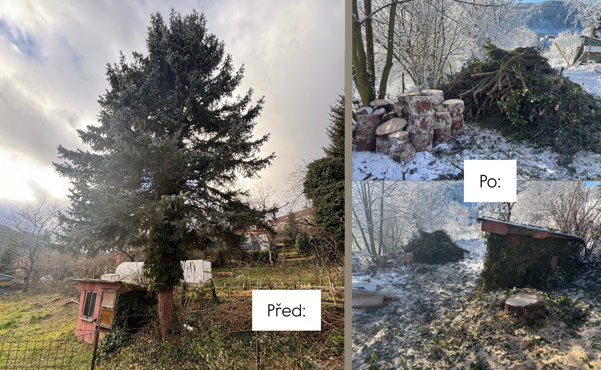 Rizikové kácení Martin Homolka foto 3