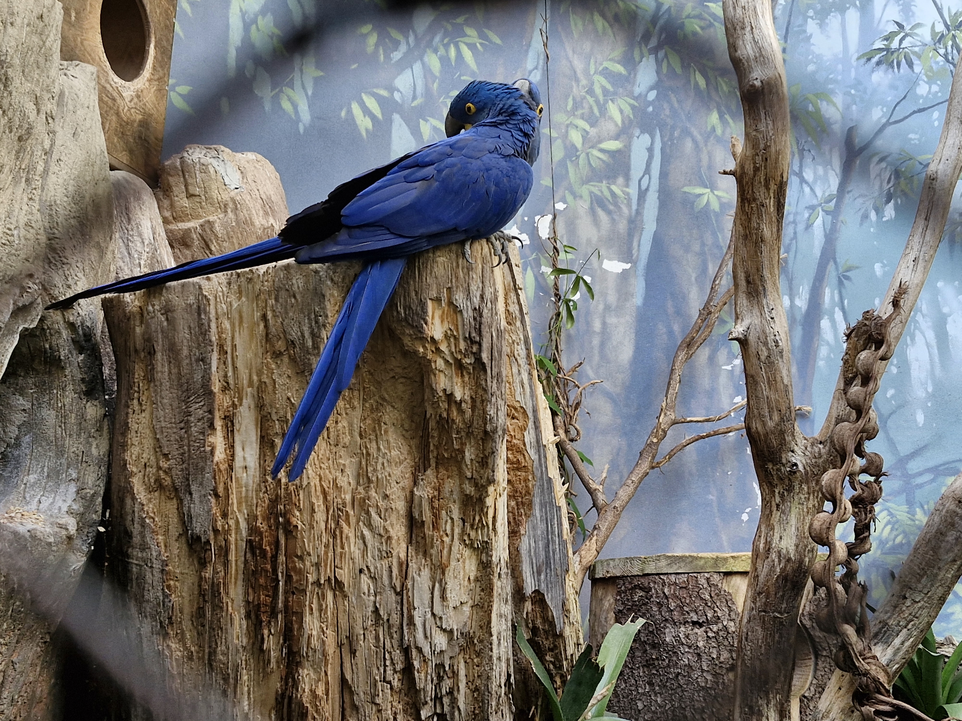 Zoo Praha foto 5