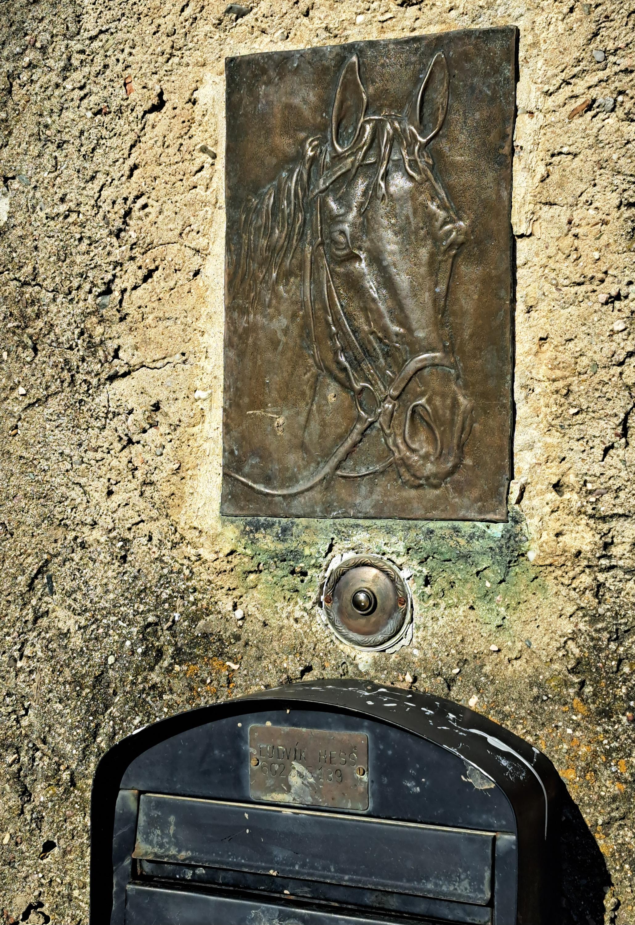 Ludvík Hess - Chov koní foto 3