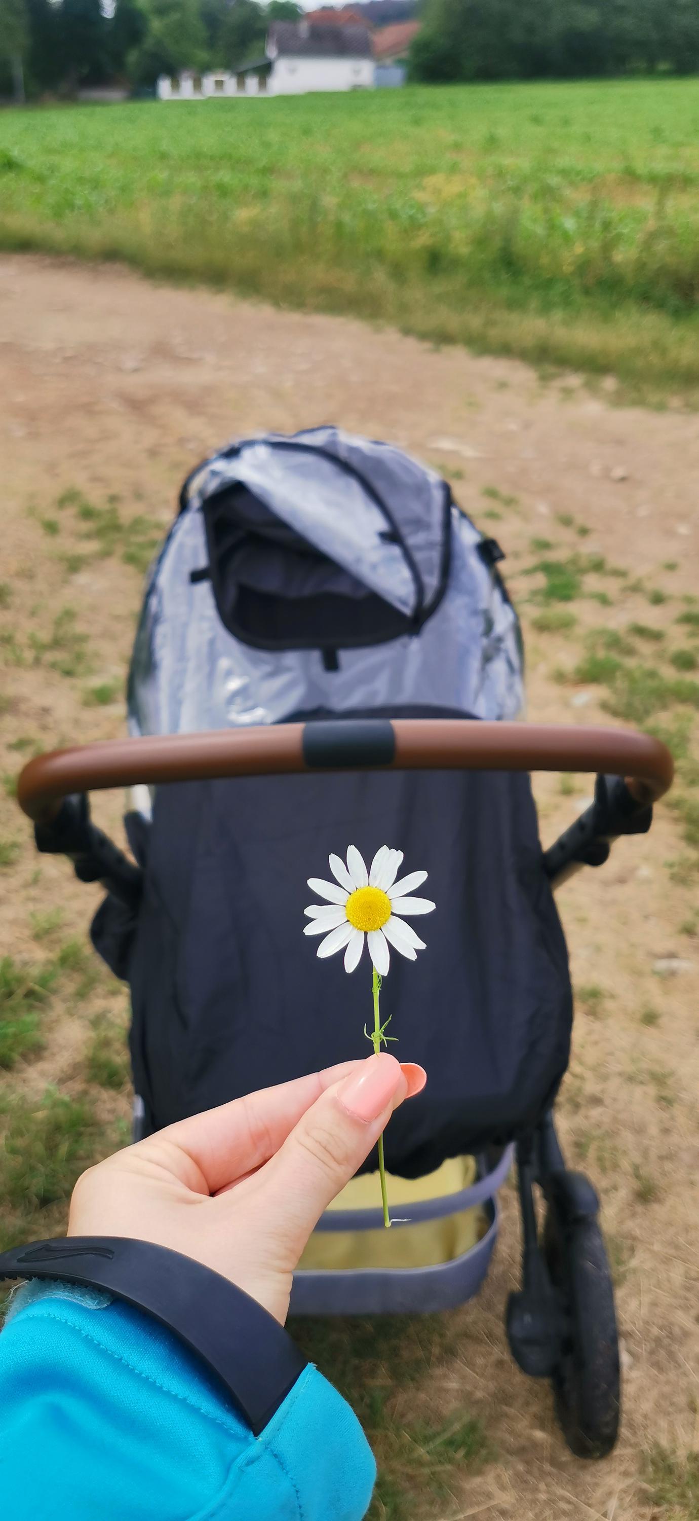 Hlídání dětí Vysočina foto 2