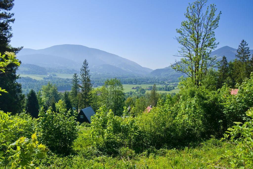 Zprostředkování prodeje či pronájmu nemovitosti