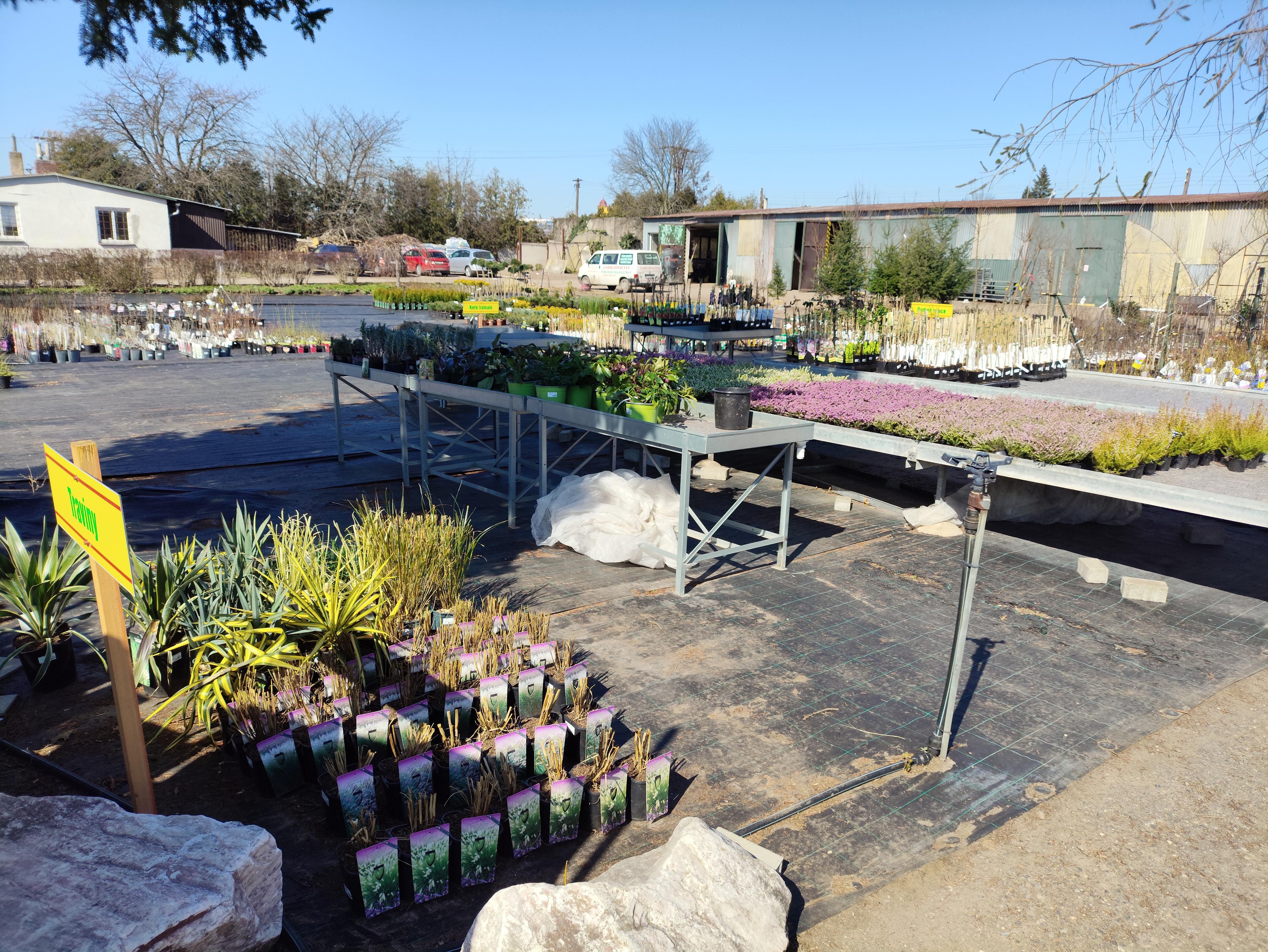 Zahradnictví Kukleny foto 2