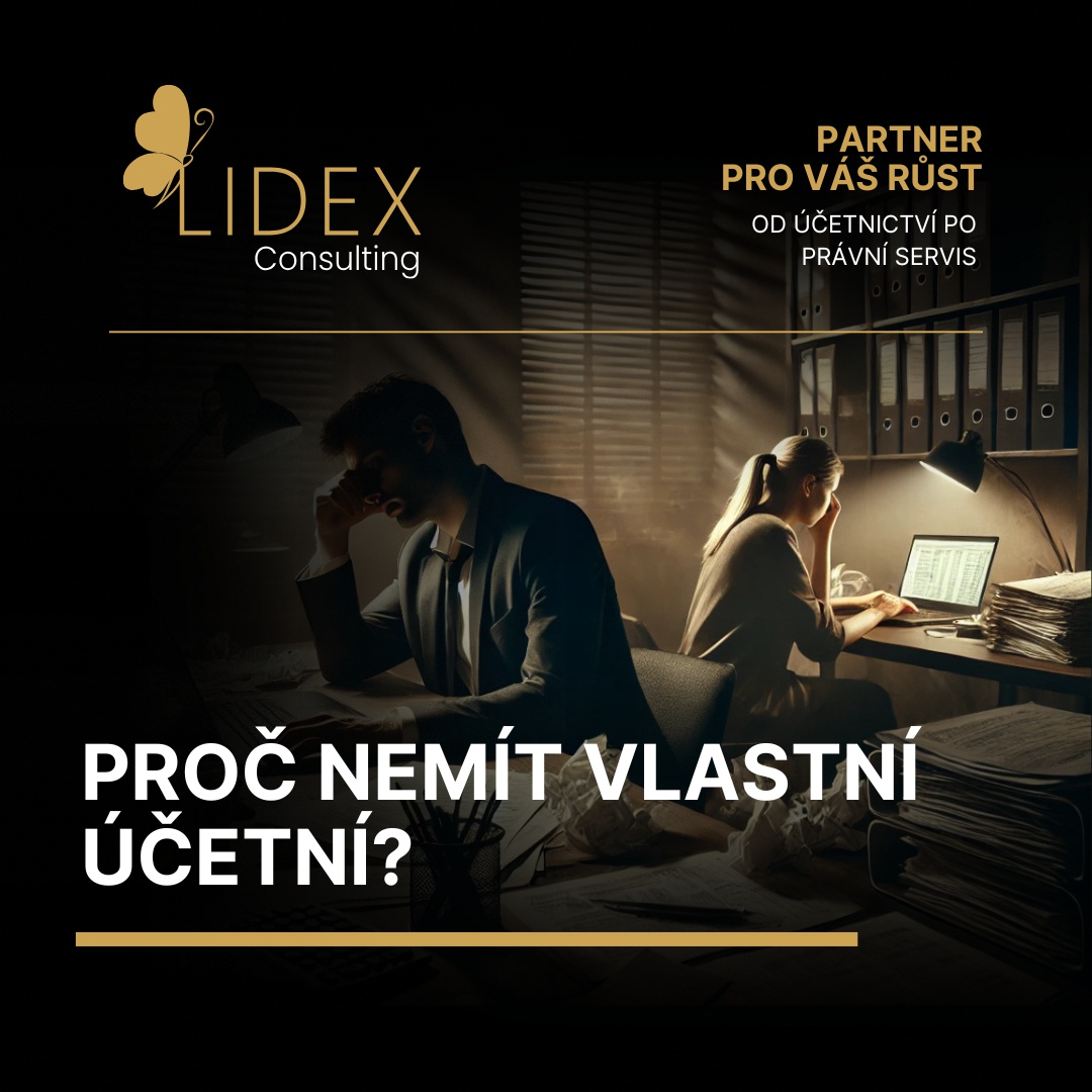 LIDEX consulting, s.r.o. foto 3