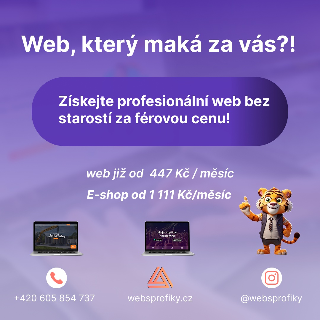 Websprofiky s.r.o. foto 2
