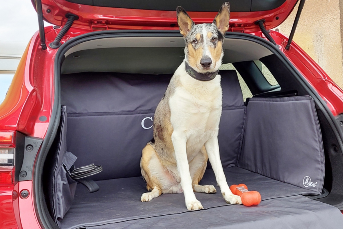 Mobilní pelíšky - Mobilnipsipelisek.cz