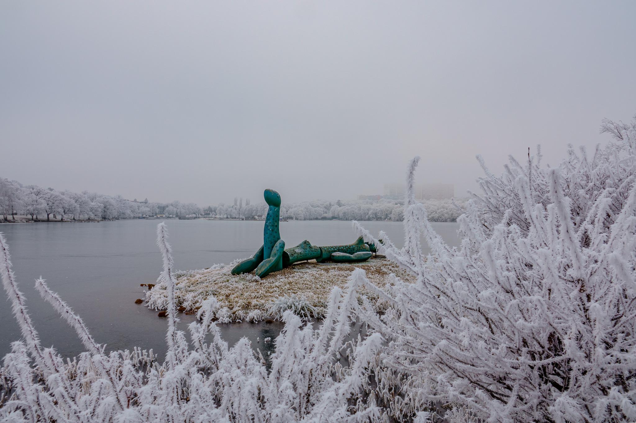 Koupaliště Kamencové jezero foto 3