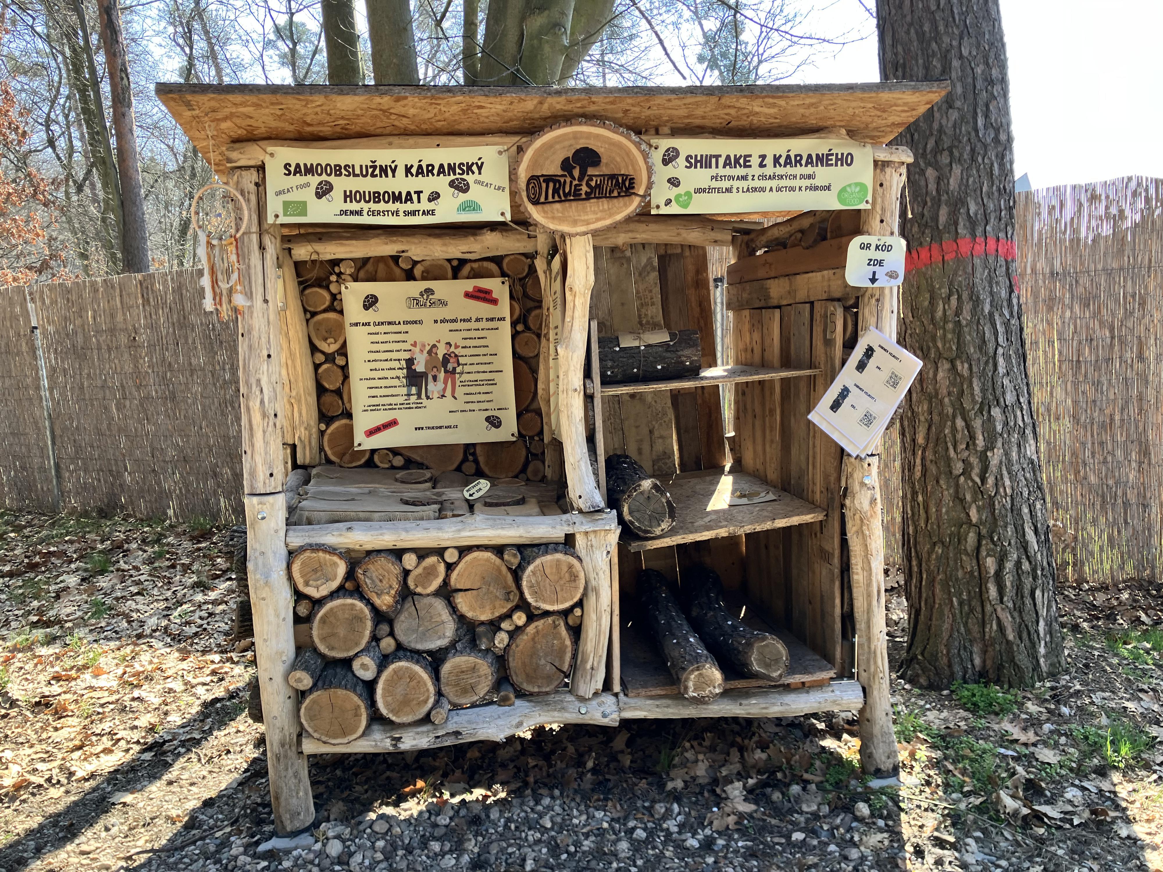 True Shiitake - Houbomat