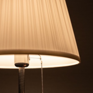 Producers of indoor lights