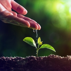 Nature and environment