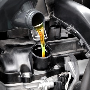 Wholesalers of oils and lubricants