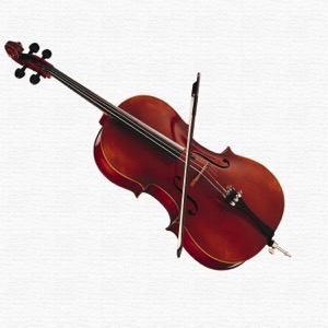 Bazary s hudebními nástroji