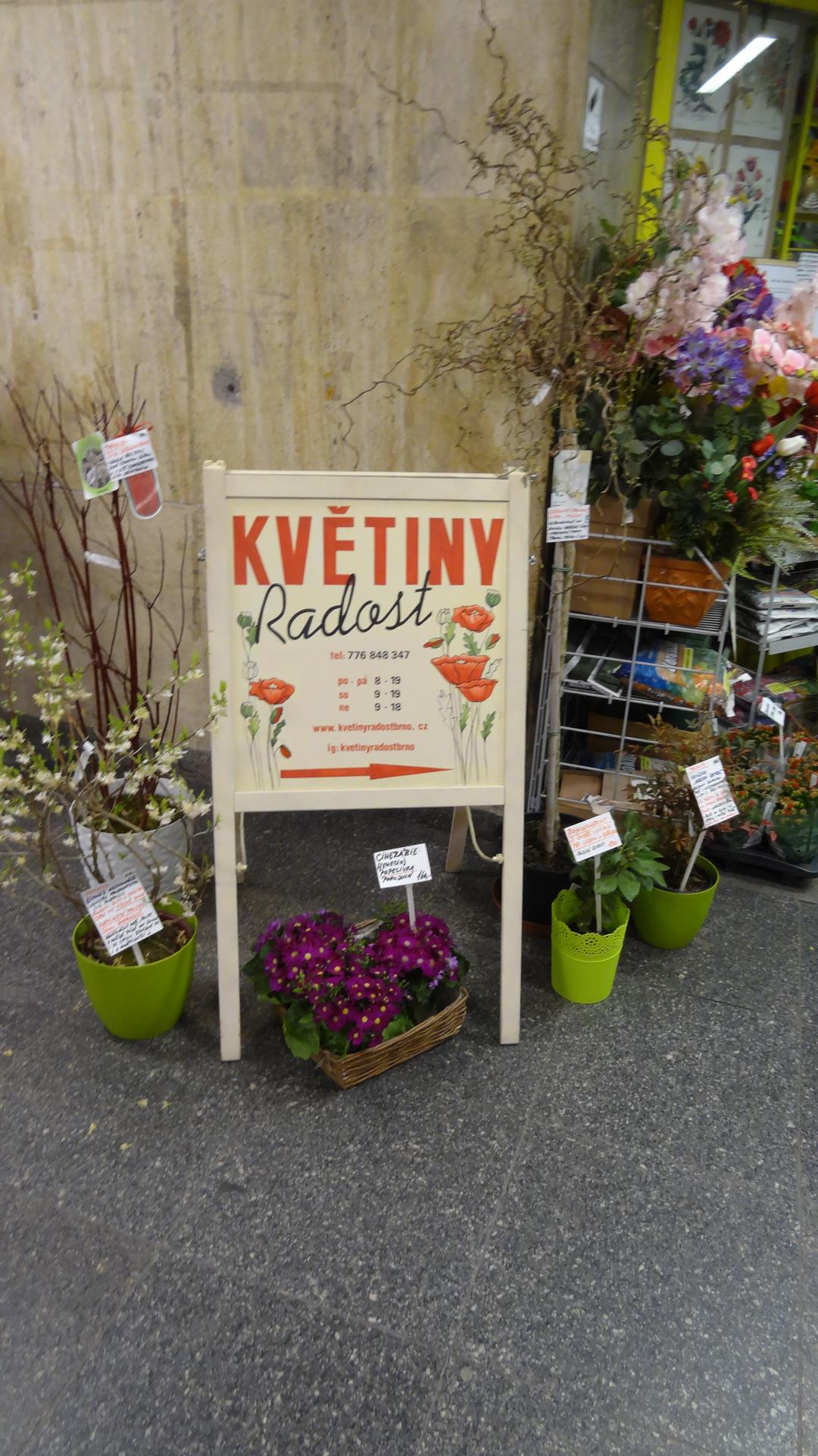 Květiny Radost foto 4