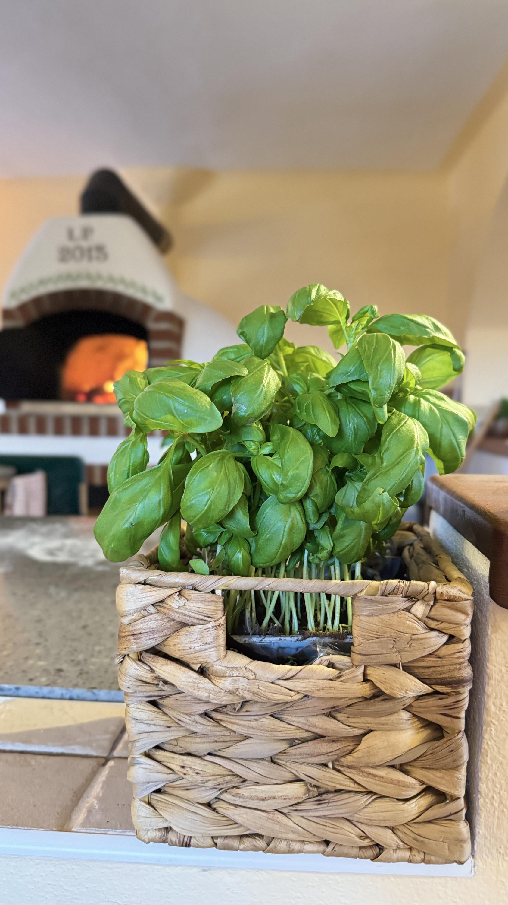 Ristorante Pizzeria Al Mostro foto 3