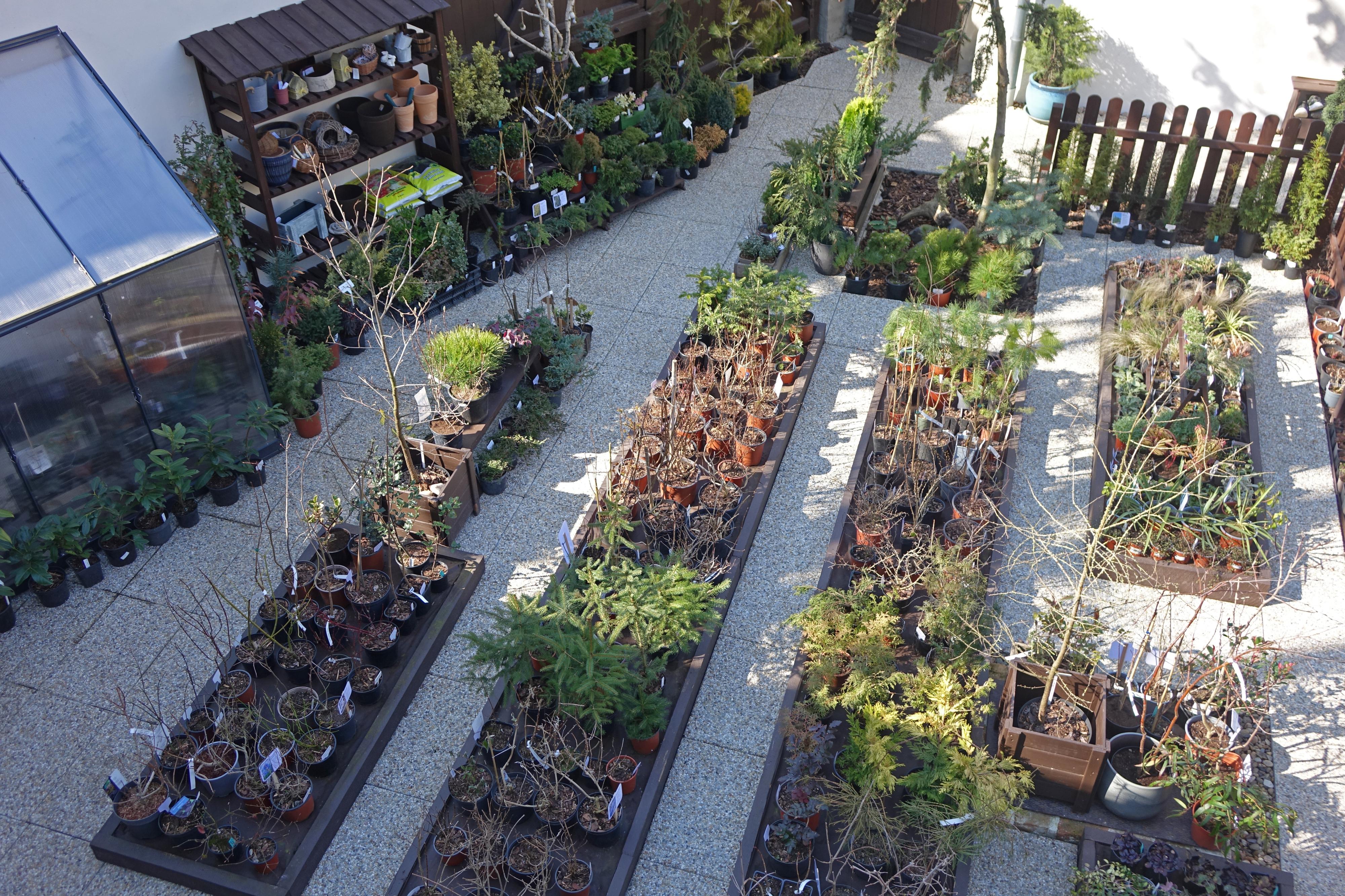 Zahrada Kdovíkde foto 2