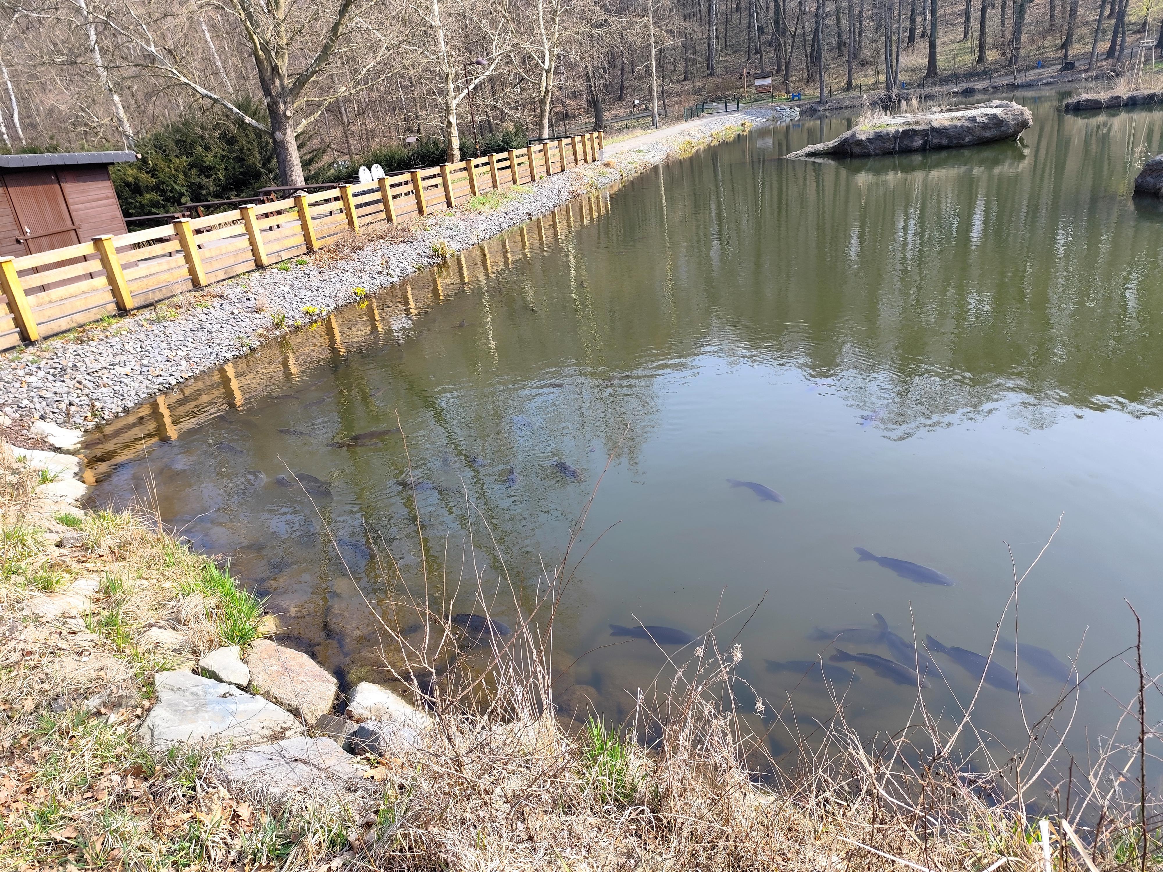 Občerstvení Na Hrázi foto 4