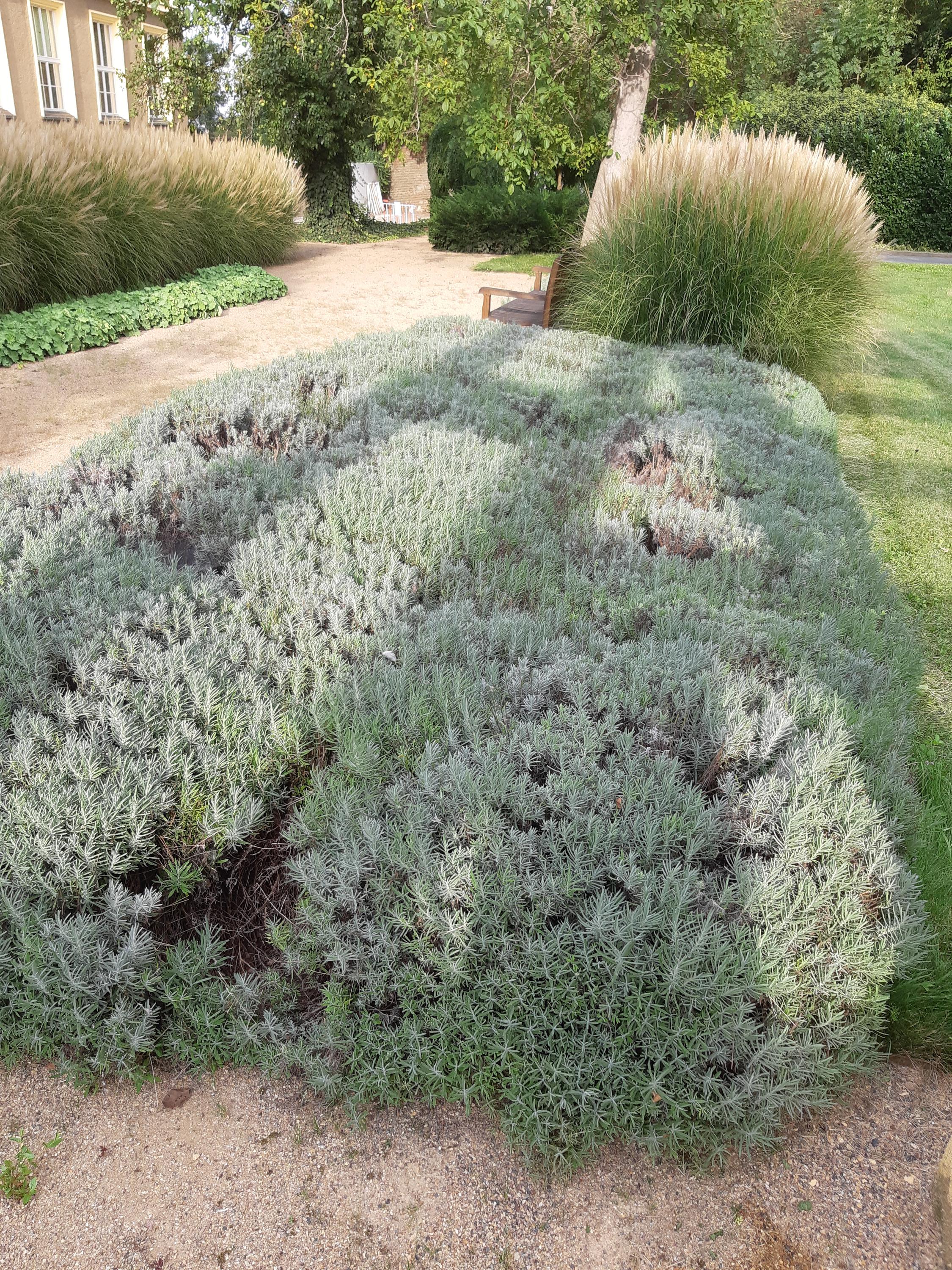 Údržba zahrad Zdeněk Bečvář foto 3