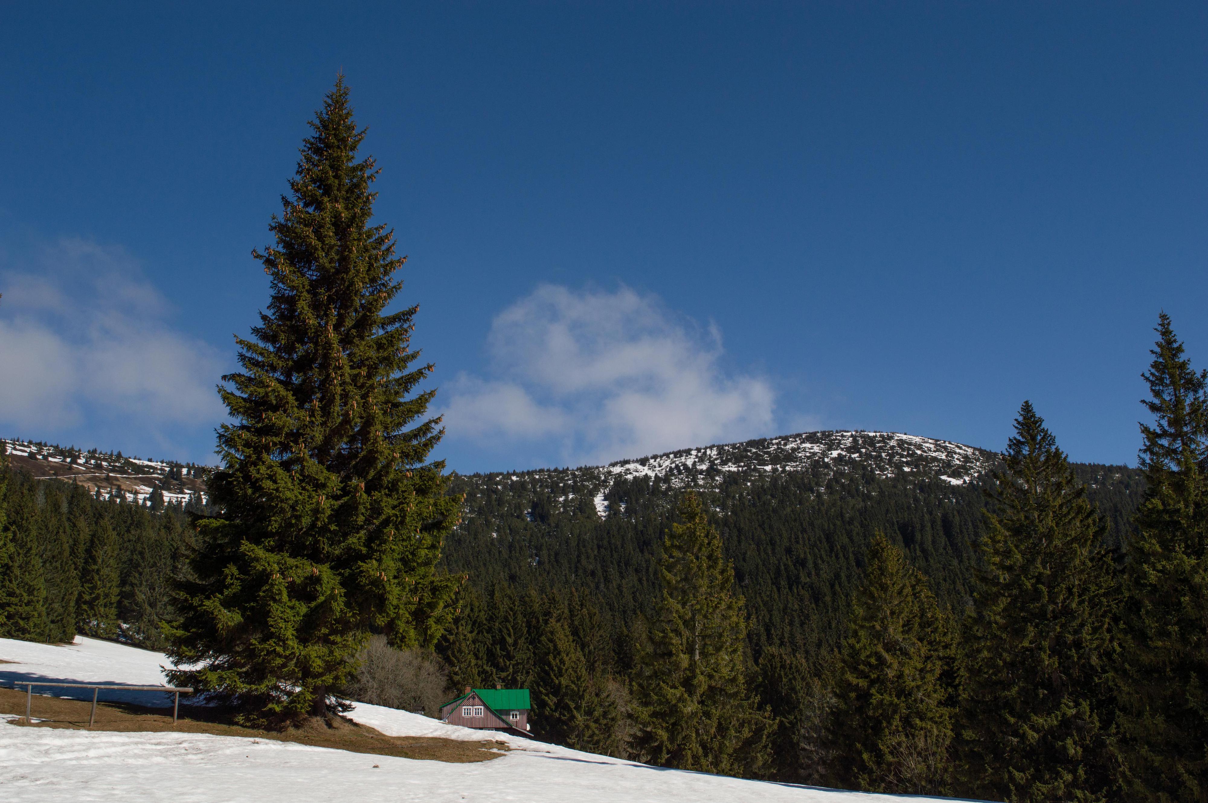 Horská chata Erlebach foto 5