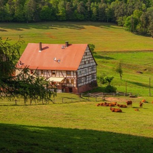 Recreational accommodation agency