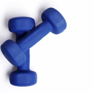 Online sellers of fitness and bodybuilding gear and equipment