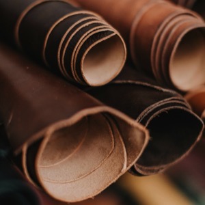 Velkoobchod nezpracované kůže, usně a hedvábí