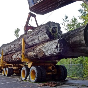 Prodej lesní techniky a příslušenství