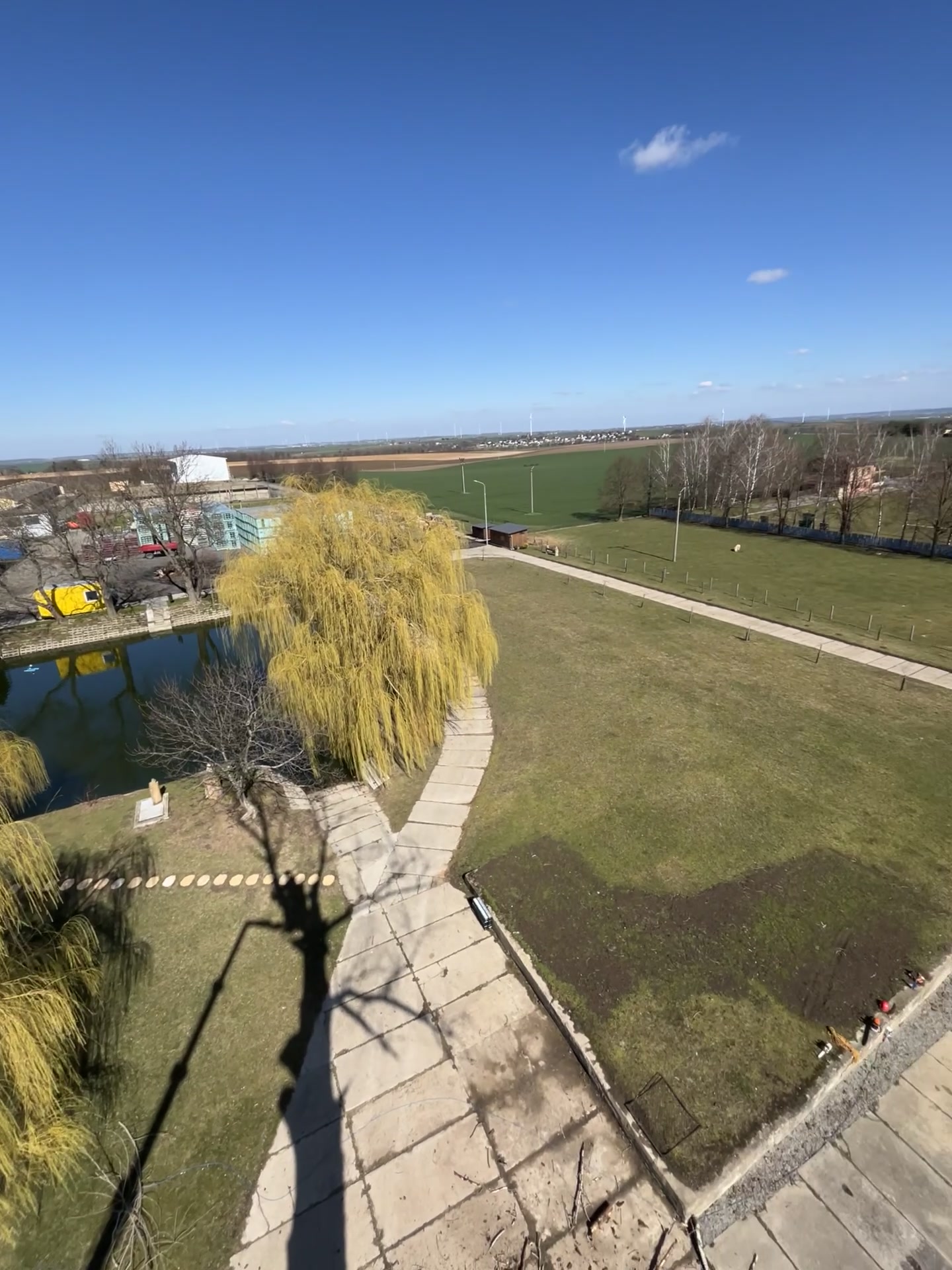 TreeAxe.cz foto 2 (náhled videa)