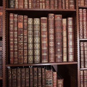 University libraries