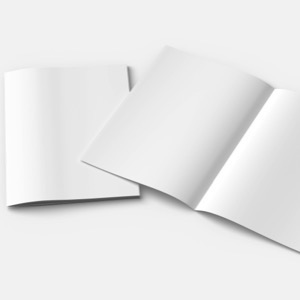 Wholesalers of paper and printing supplies