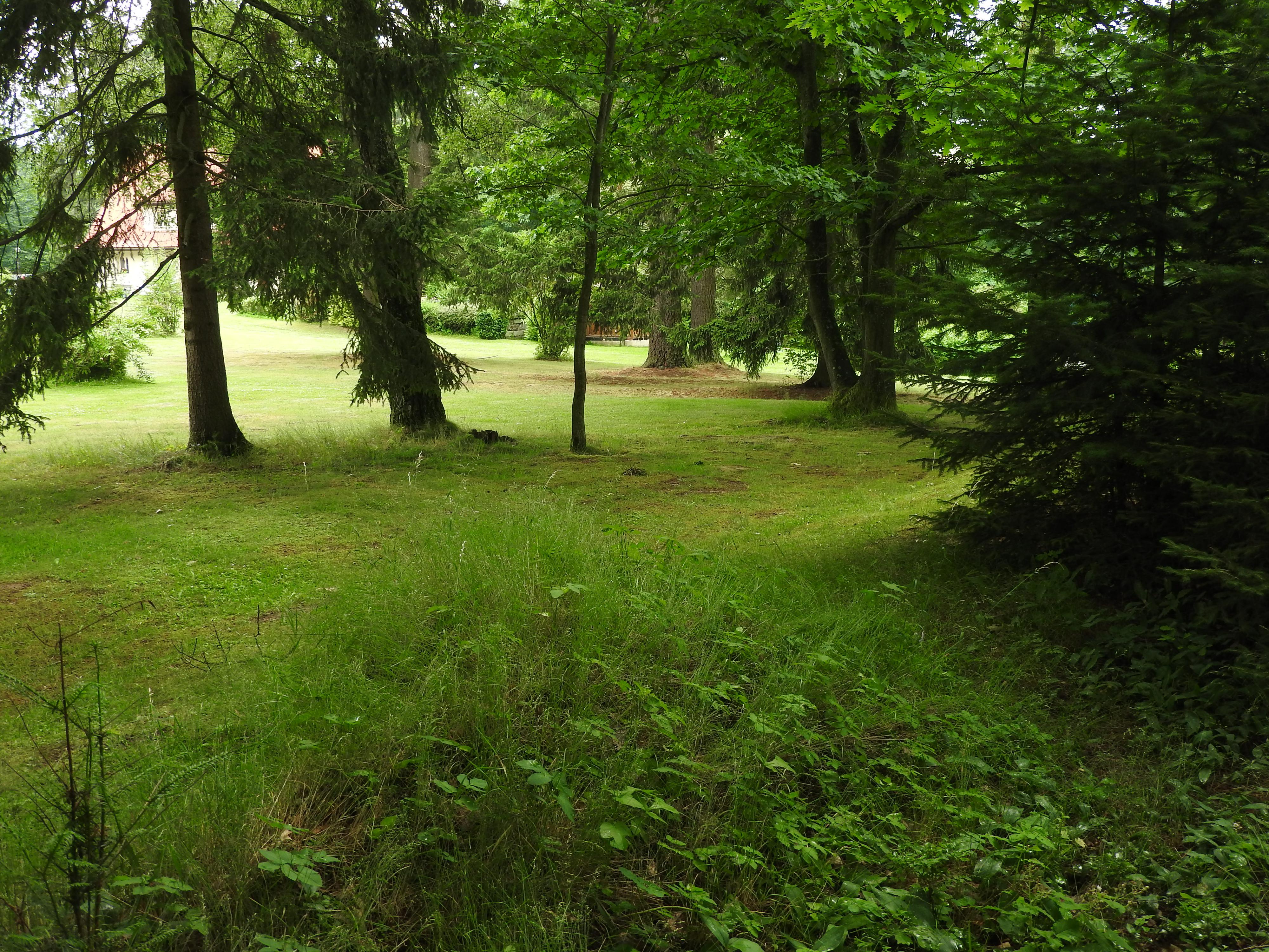 Restaurace Parkhotelu Skalní město foto 6