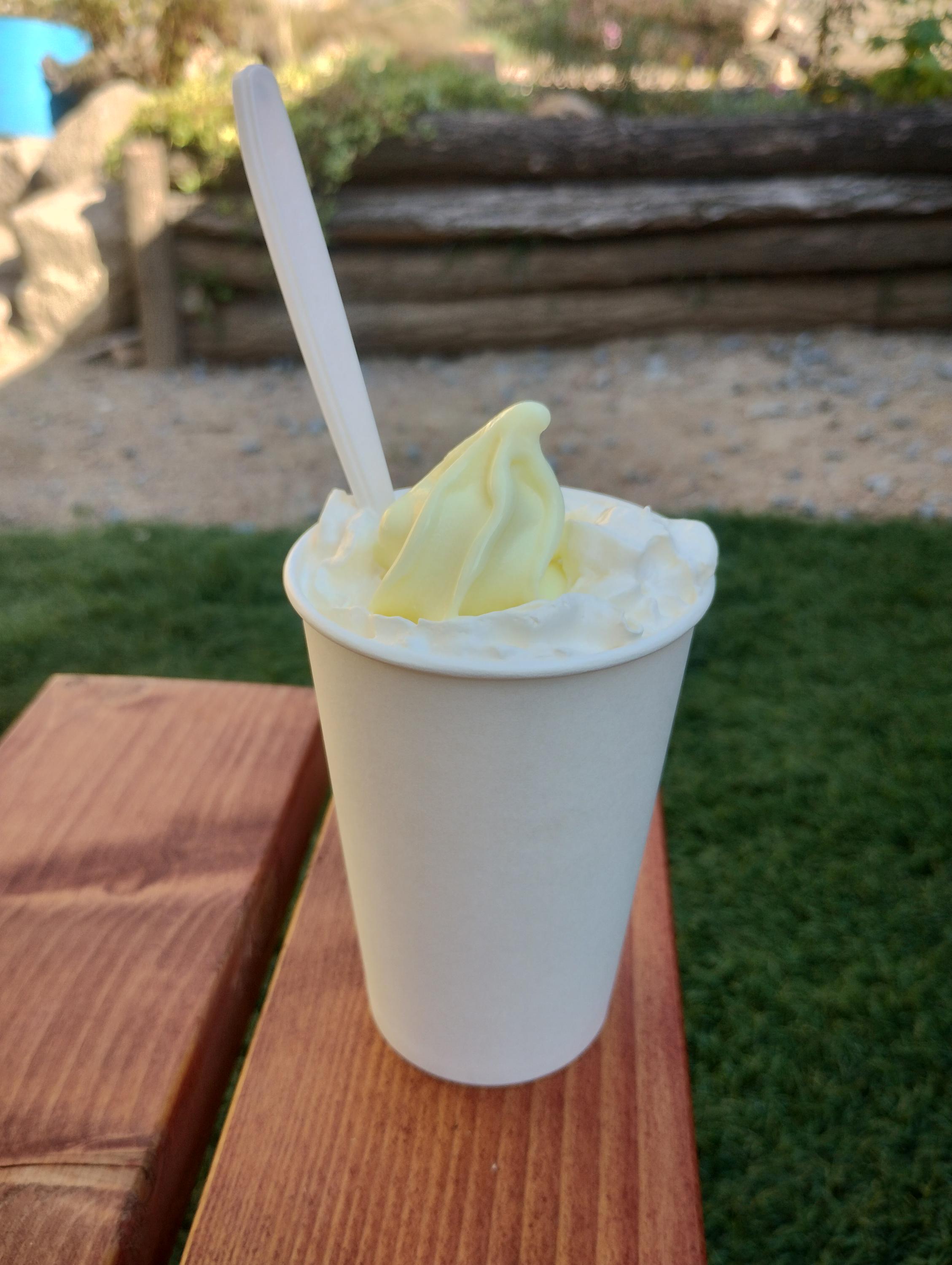 Zmrzlina Soběhrdy foto 2