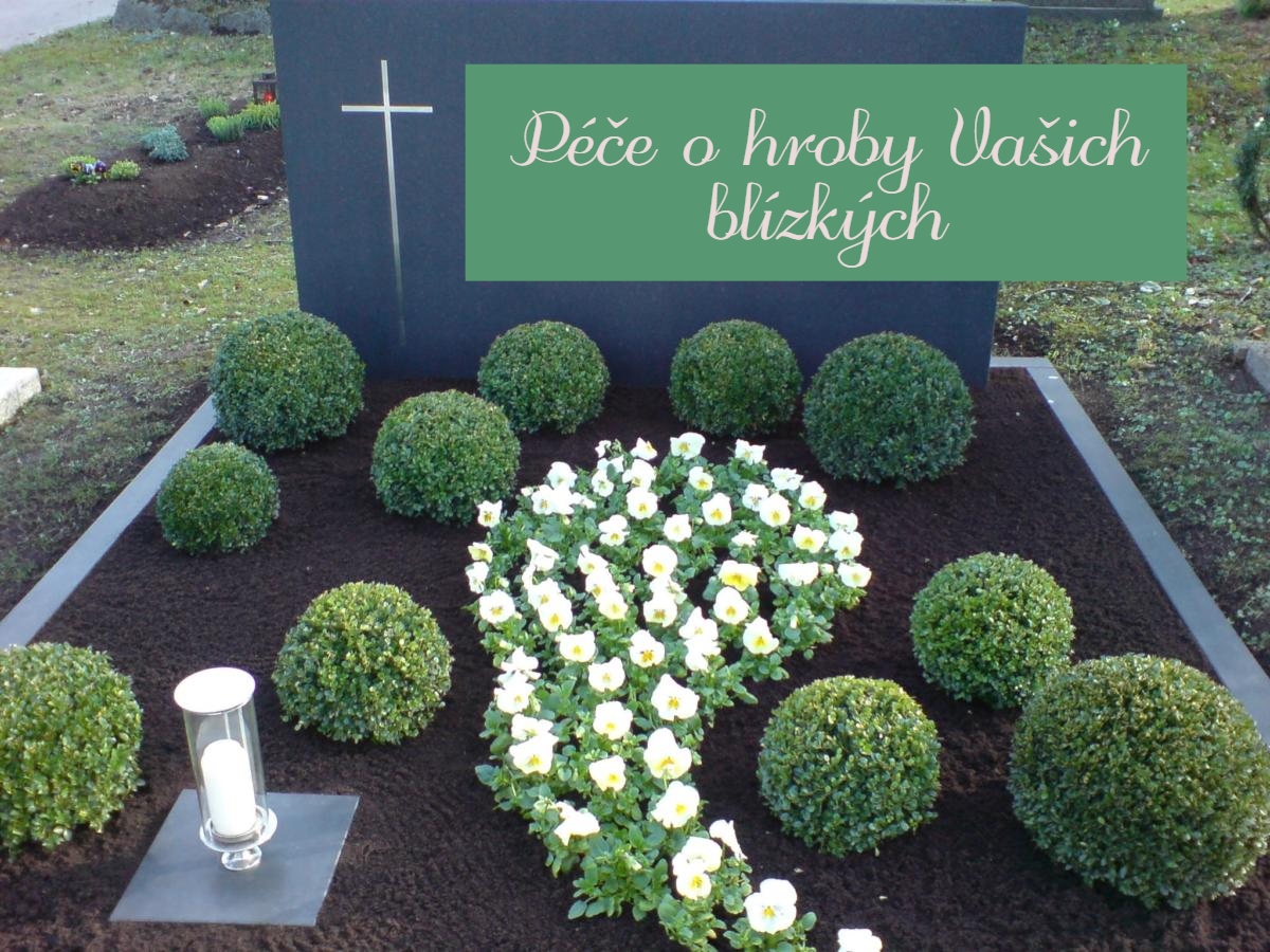 Cleaningangel.cz foto 2