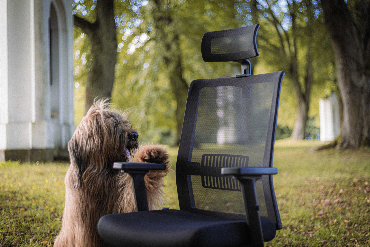 SEGO CZ, s.r.o. foto 6