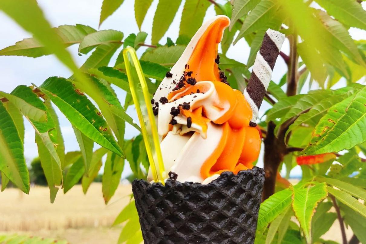 Zmrzlina Extra Lahodná foto 1