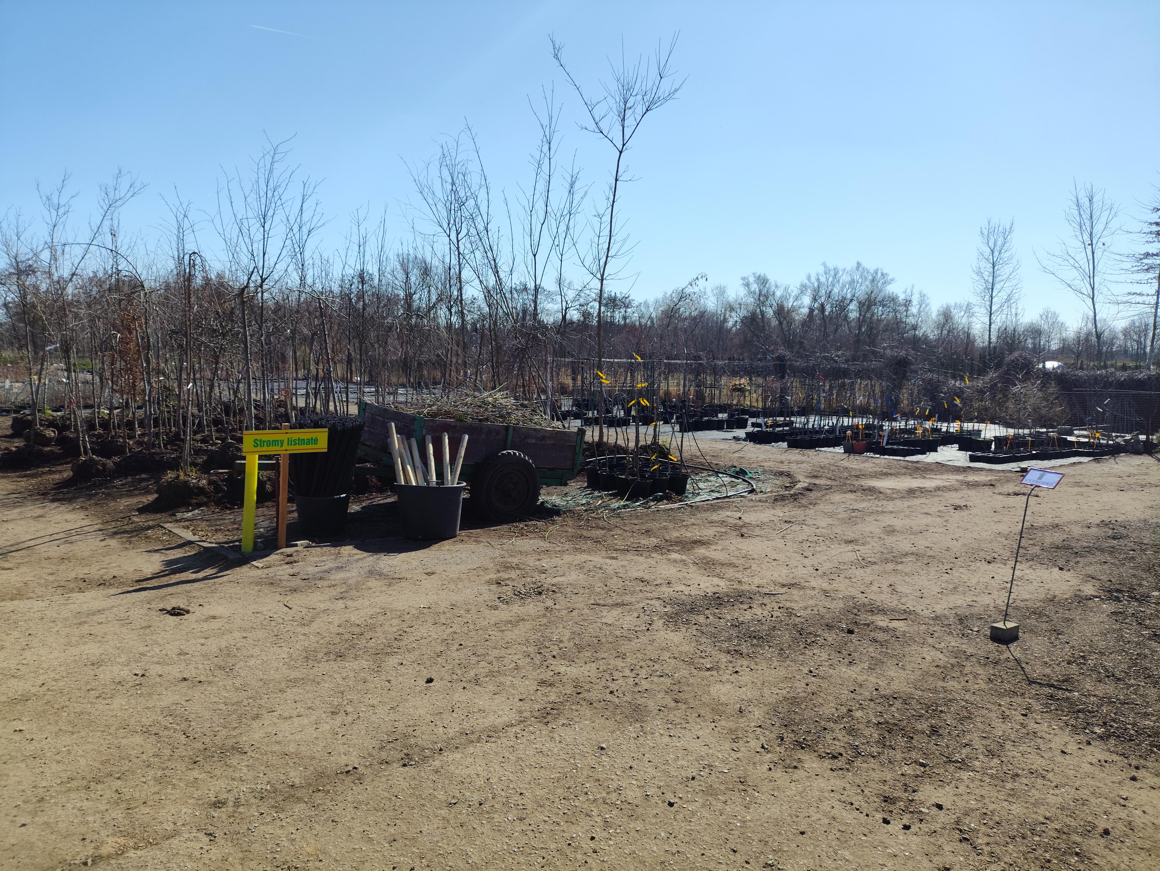 Zahradnictví Kukleny foto 3