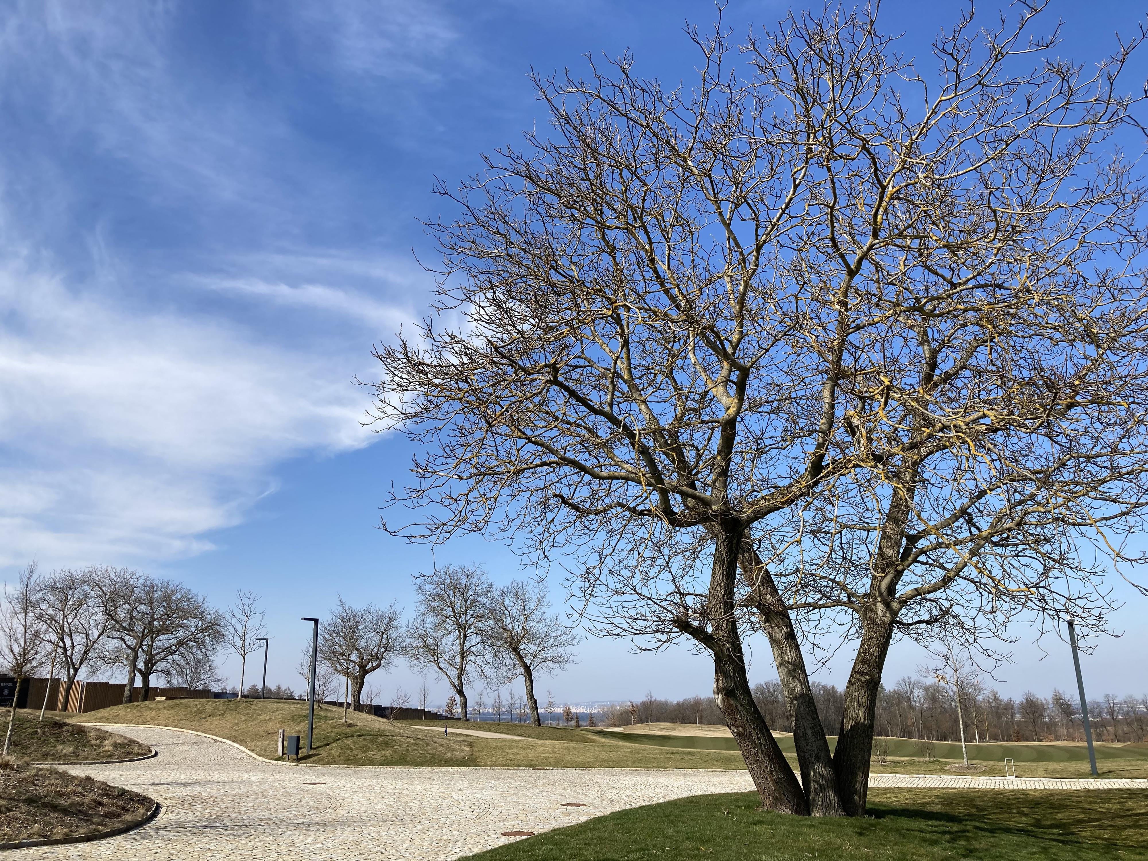 PGA National Czech Republic, z.s. foto 1