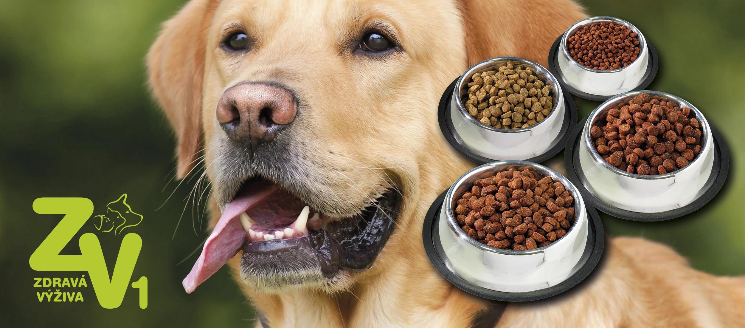 Centrum zdravé výživy zvířat foto 2