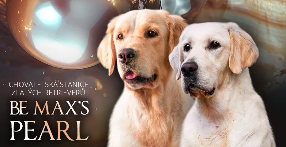 Be Max´s Pearl foto 2