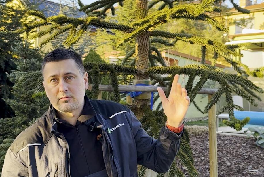 Je tu jaro - optimání období pro výsadbu.