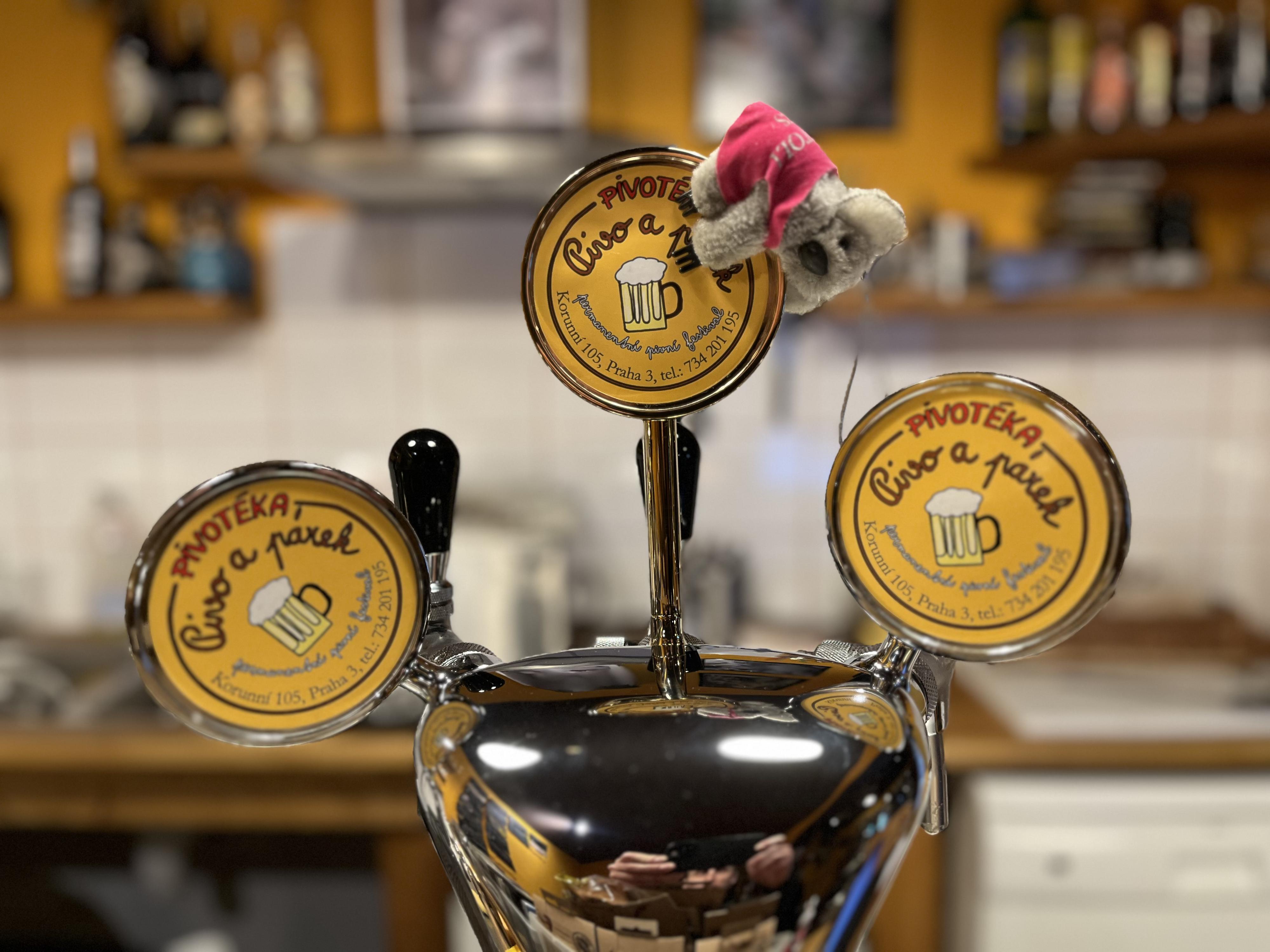 Pivotéka Pivo a párek foto 2