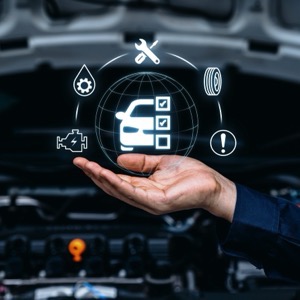 Pojištění vozidel